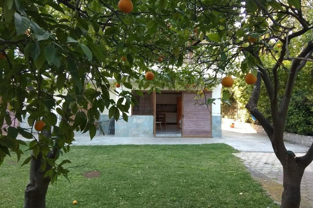Electra Apartment In Epidaurus المظهر الخارجي الصورة